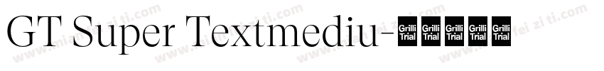 GT Super Textmediu字体转换
